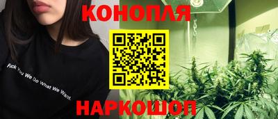 шишки Ачхой-Мартан
