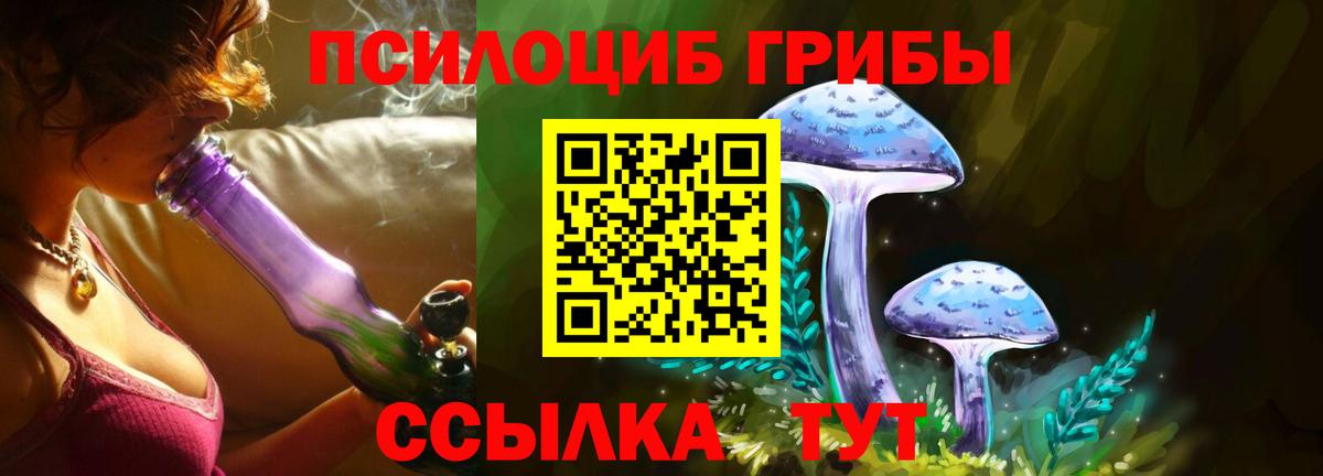 Бугуруслан  Галлюциногенные грибы GOLDEN TEACHER  Вход с VPN 