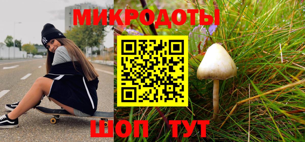 Галлюциногенные грибы Psilocybe Бугуруслан